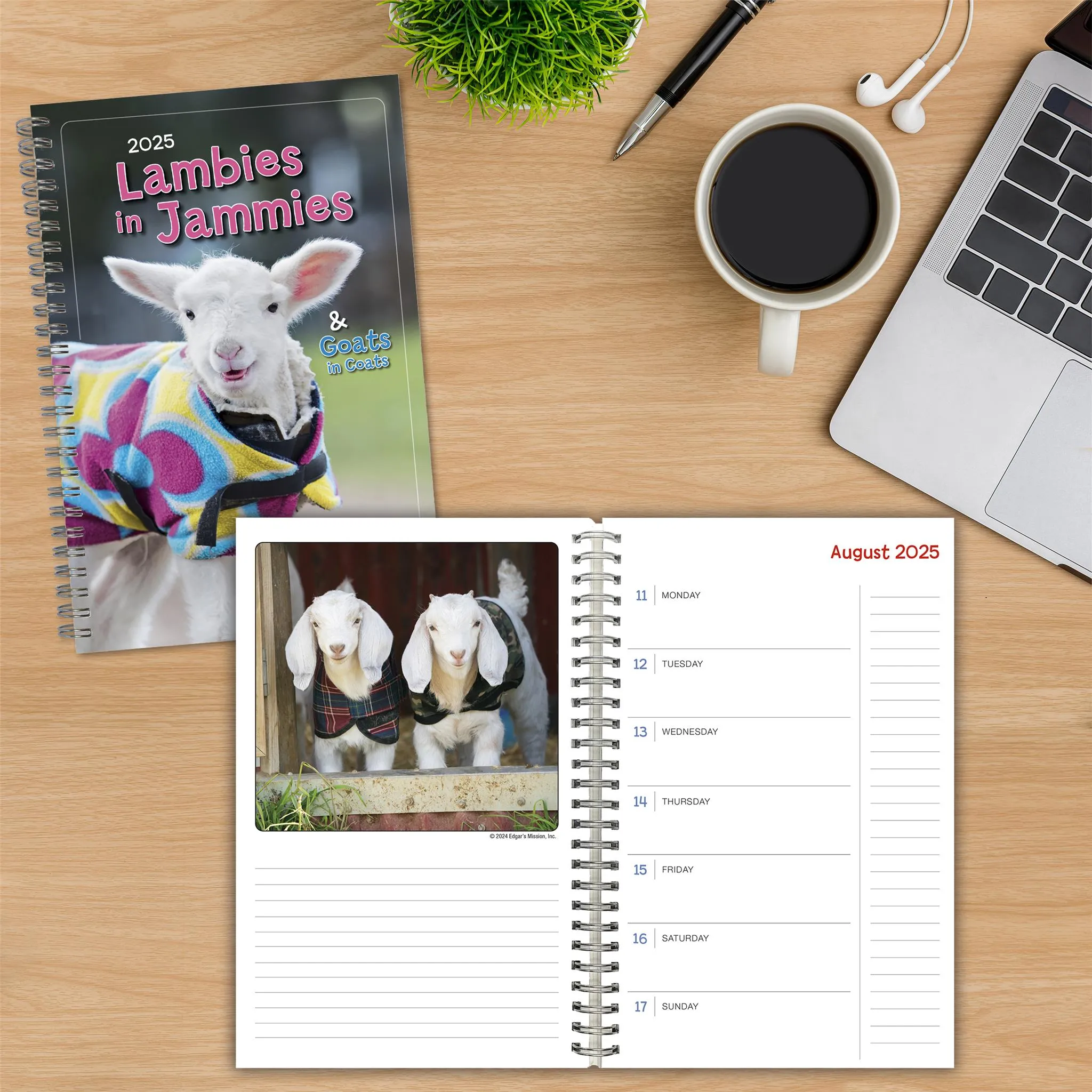 Lambies In Jammies And Goats In Coats Engagement 2025 Calendar - Online Exclusive