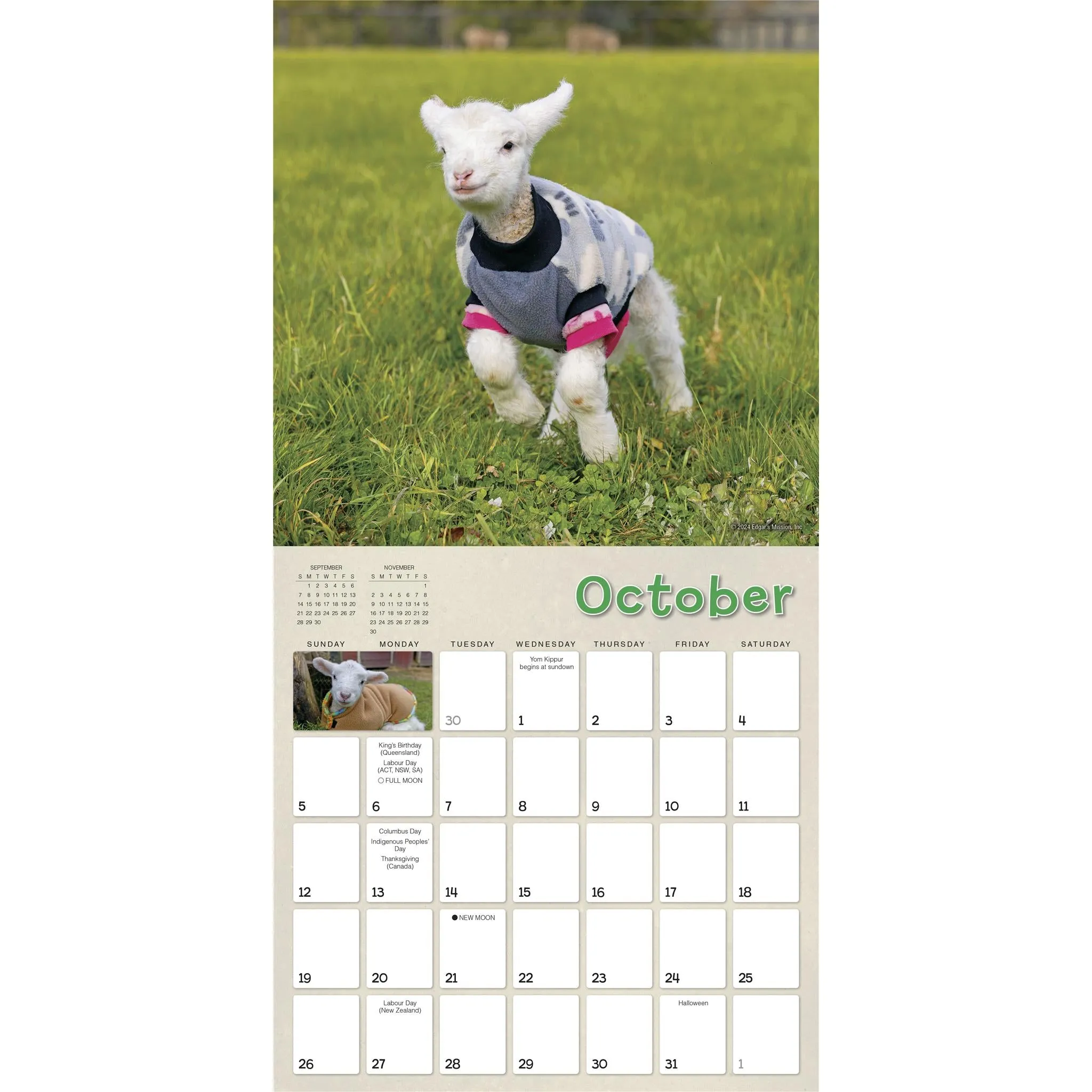 Lambies In Jammies And Goats In Coats Wall 2025 Calendar