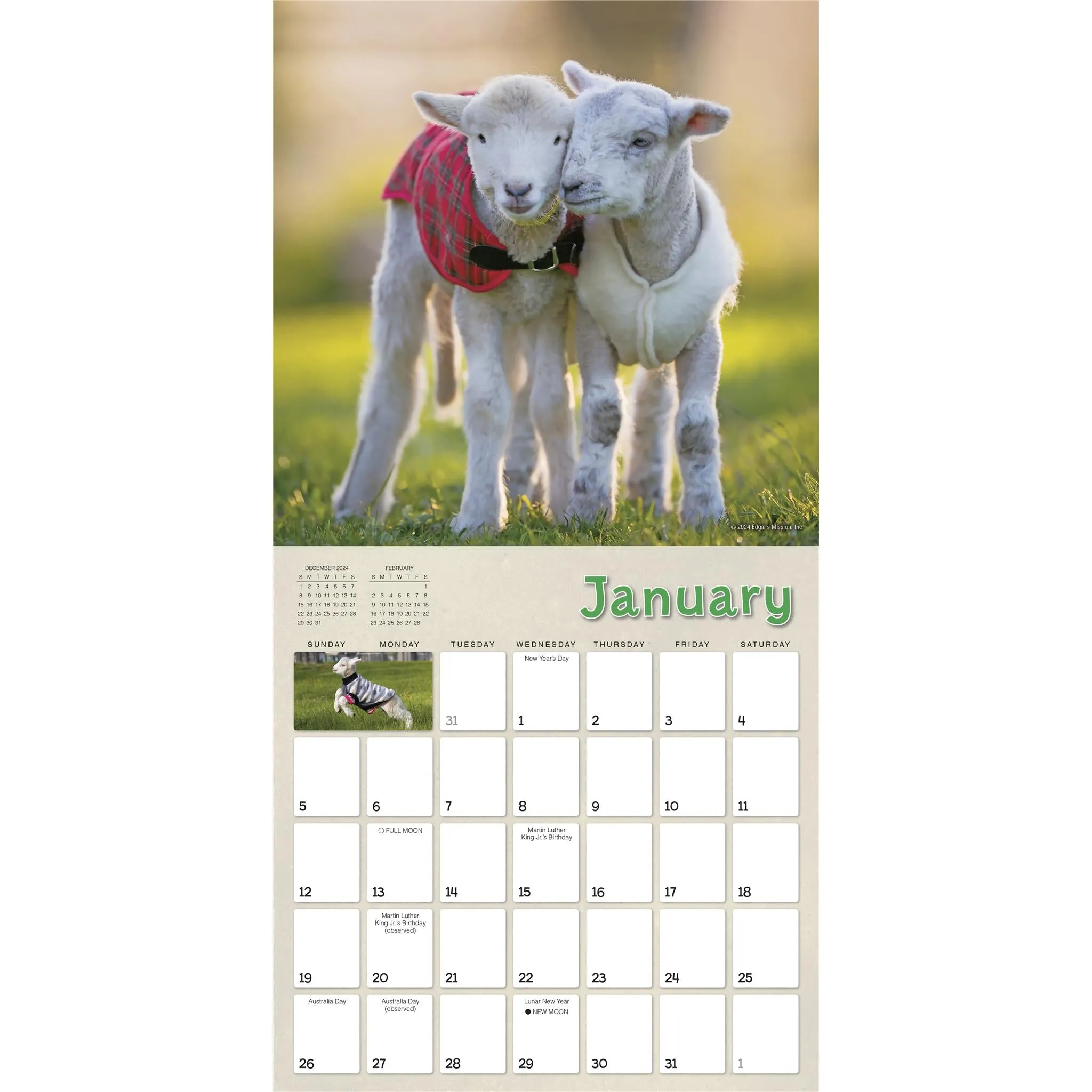 Lambies In Jammies And Goats In Coats Wall 2025 Calendar