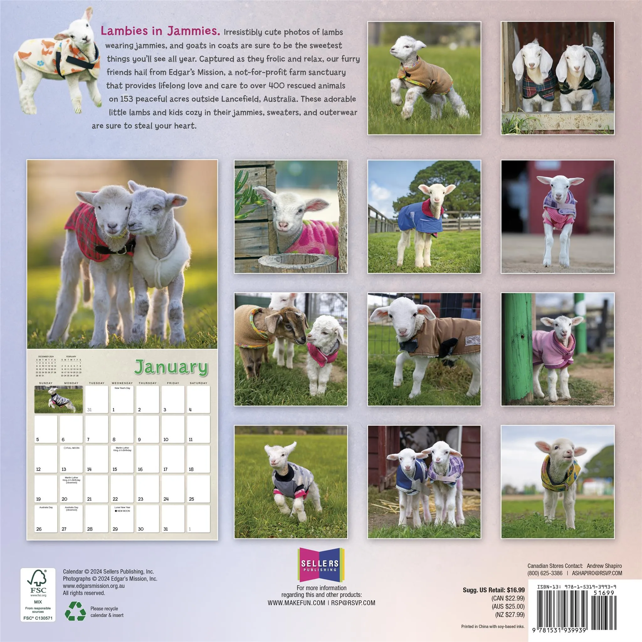 Lambies In Jammies And Goats In Coats Wall 2025 Calendar