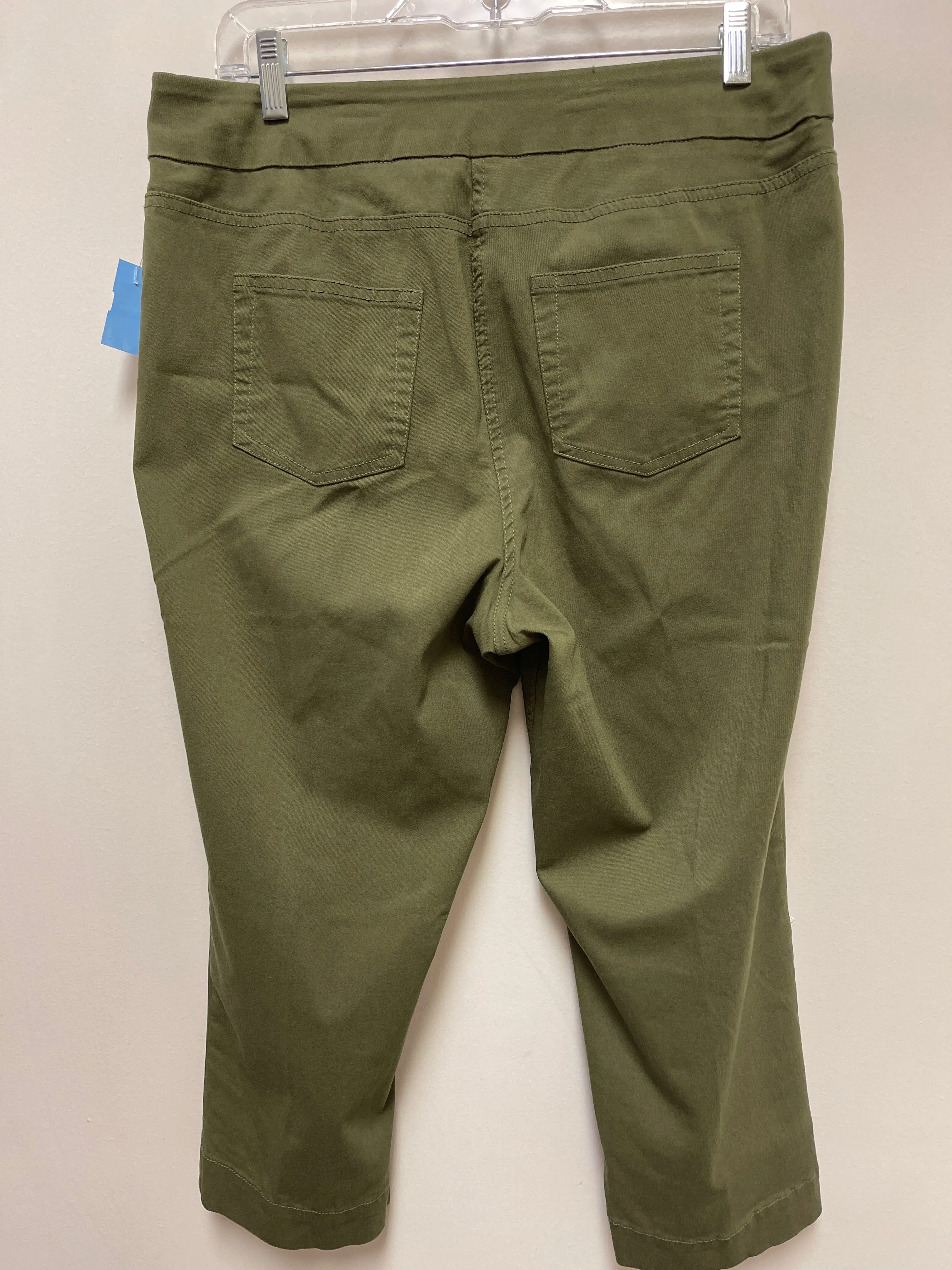 Pants Other By Soft Surroundings In Green, Size: L